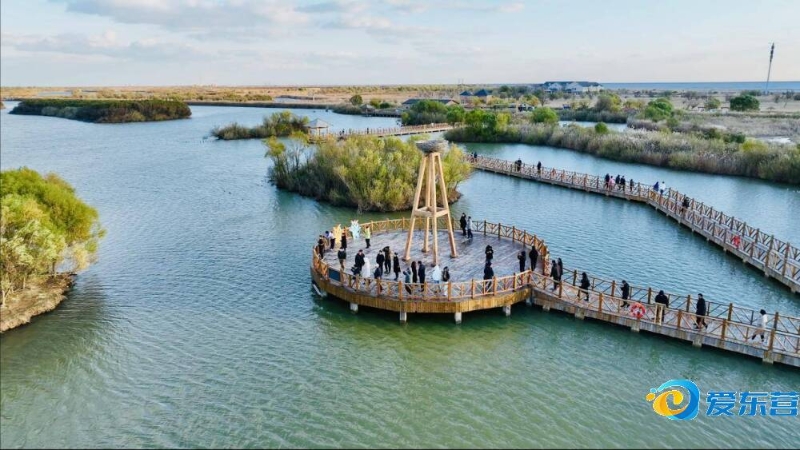 年度盛事 年度盛事