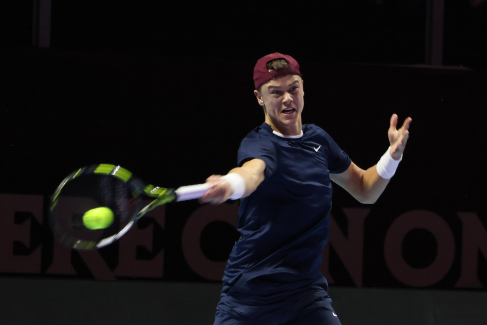 在这种蓬勃 在这种蓬勃